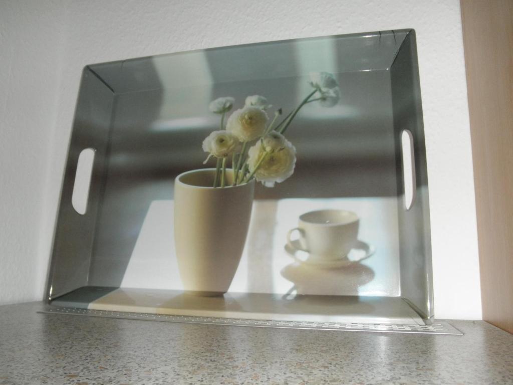 Apartment Cecile